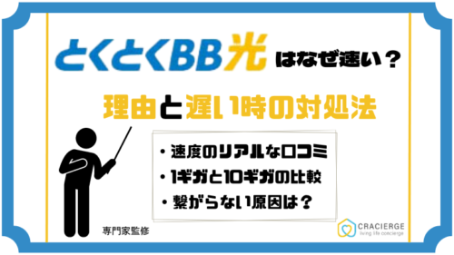 gmo とくとく bb ストア 繋がり にくい