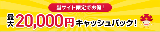 Wiz「20,000円キャッシュバック」